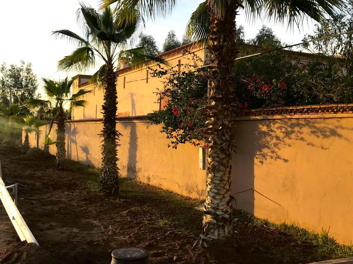 Palais Souad Villa Marrakesh Exterior foto